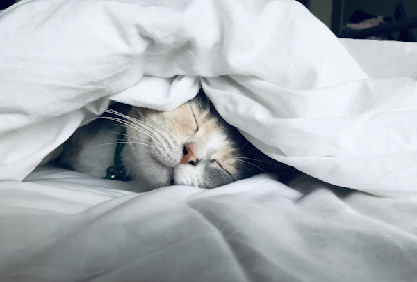 Dormir paisiblement